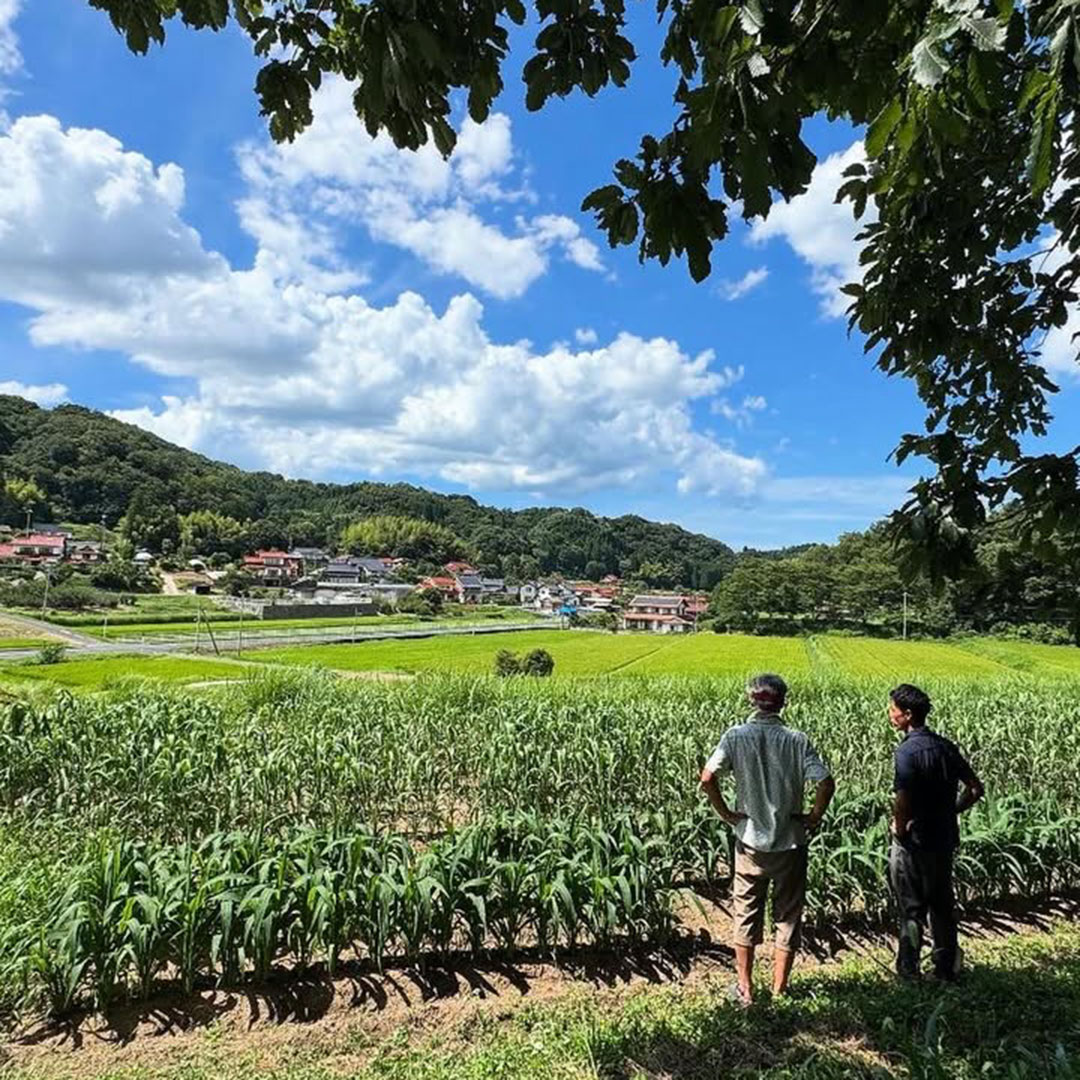 大地
